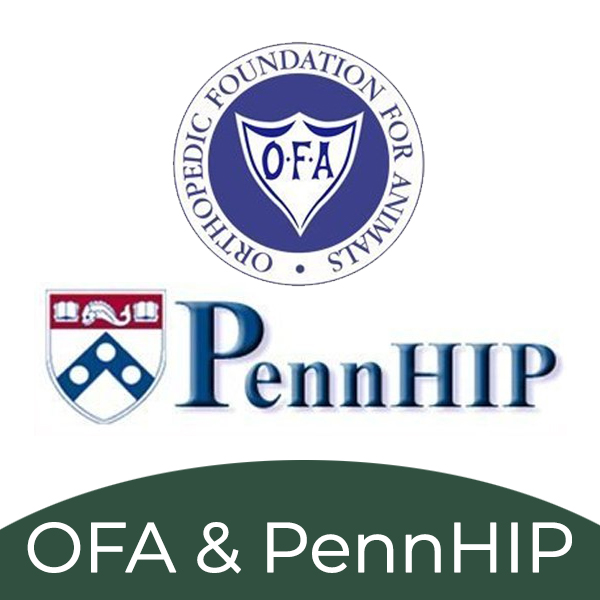 OFA &  PennHIP Certifications