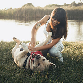 Lanier Animal Hospital in Sugar Hill Services